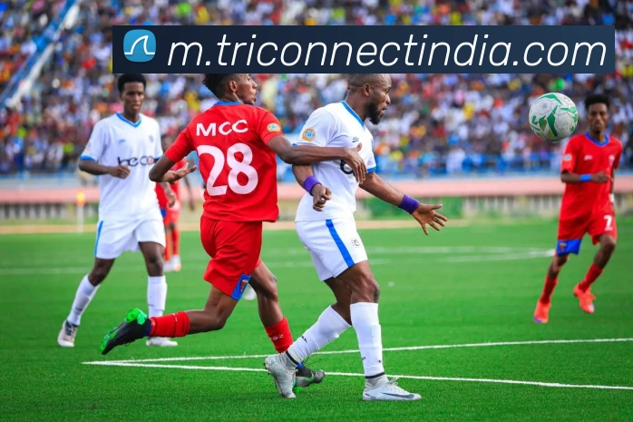 平台展示图